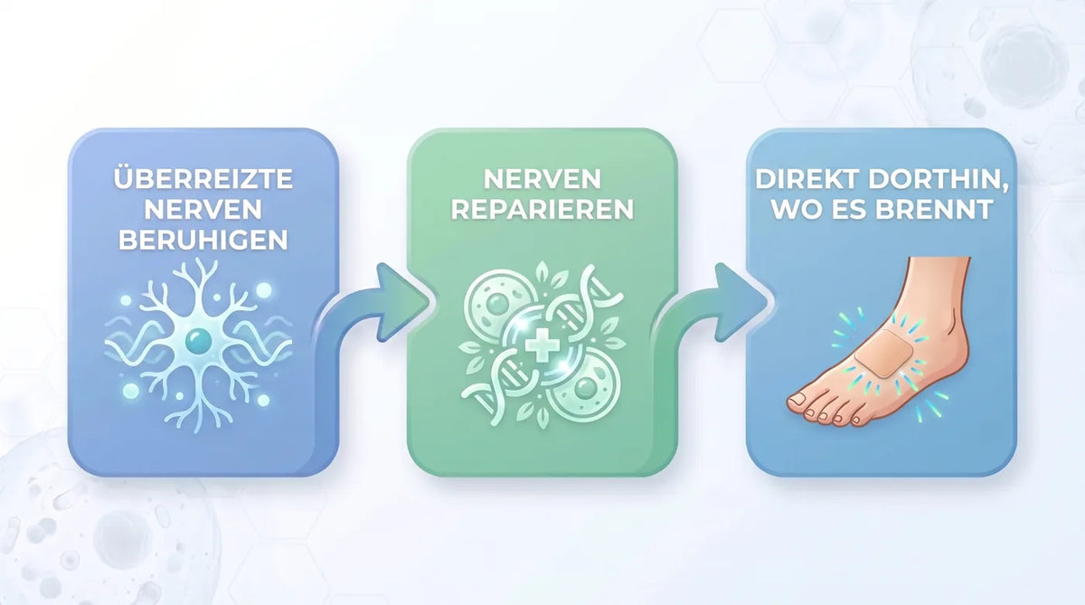 Überreizte Nerven beruhigen, Nerven reparieren, direkt dorthin, wo es brennt