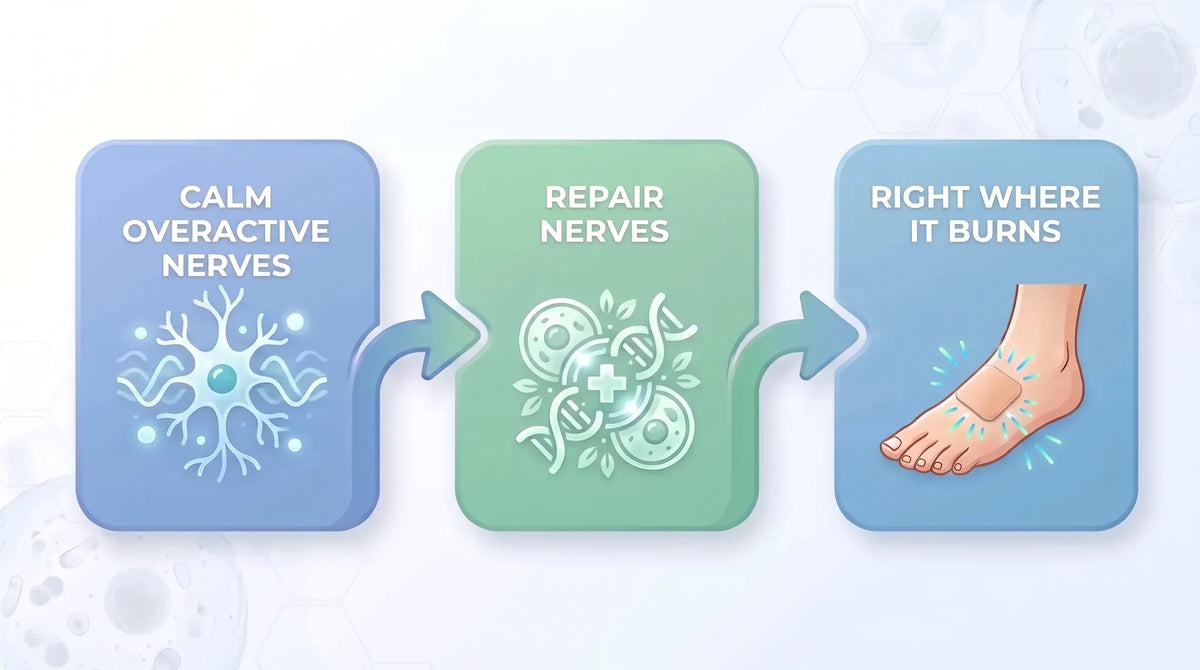 Calm overactive nerves, repair nerves, right where it burns